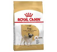 Royal Canin Pug Adulto Seco Perro Alimento 3 kg (Pack de 3)