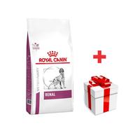 ROYAL CANIN Renal 7kg + sorpresa gratis