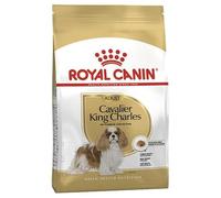 Royal Canin Cavalier King Charles Adulto - Pienso seco para perros de raza - Cantidad: 3 kg