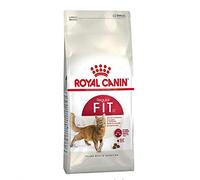 Royal Canin Gato Fit 32 4 Kg