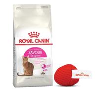 ROYAL CANIN Savour Exigent 10kg + ¡Bola para gatos GRATIS!