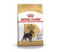 ROYAL CANIN Schnauzer Miniatura Adulto 7.5kg + sorpresa gratis