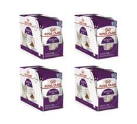 Royal Canin Sensory Feel en Gelatina | Paquete de 4 | 4 x 12 x 85 g | Alimento Completo para Gatos Adultos | Perfil óptimo de macronutrientes