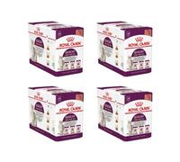 Royal Canin Sensory Multipack | Pack de 4 | 4 x 12 x 85 g | Alimento Completo para Gatos Adultos | Olor, Sabor, Sensación
