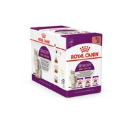 Royal Canin Sensory Multibox – Alimento Completo para Gatos Adultos, Trozos en Salsa, 12 x 85 g