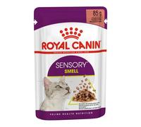 Royal CANIN Sensory Smell Wet Cat Food Chunks in Sauce 12x85 g