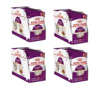 ROYAL CANIN Sensory Taste | Paquete de 4 | 4 x 12 x 85 g | Alimento Completo para Gatos Adultos | Perfil óptimo de macronutrientes