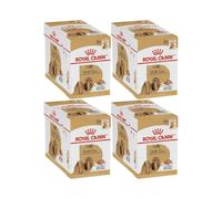 Royal Canin Shih Tzu Adult Mousse | Pack de 4 | 4 x 12 x 85g | Alimento Completo para Perros | con Taurina, EPA & DHA
