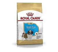 Royal Canin Shih Tzu Puppy | 1,5 kg | Pienso seco para cachorros Shih Tzu | Para apoyar el pelaje y la digestión | Para perros de hasta 10 meses