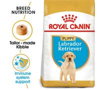 ROYAL CANIN SHN Breed Labrador Junior alimento seco para perros - 12 kg.
