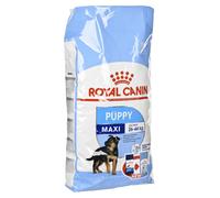 Royal Canin Shn Maxi cachorro (15 kg)