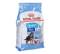Royal Canin Shn Maxi Puppy - Alimento seco para cachorros - 4Kg