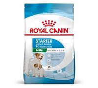 Royal Canin Starter Mother & Babydog Mini - Pienso seco para cachorro recién nacido y perra gestante/lactante de tamaño pequeñ - Cantidad: 8 kg