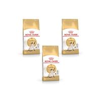 Royal Canin Siamese Adult | Paquete Triple | 3 x 400 g | Alimento Completo para Gatos Siameses Adultos | A Partir de los 12 Meses de Edad | Favorece la función del tracto urinario