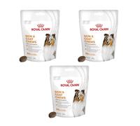 Royal Canin Skin Coat Chews | Paquete Triple | 3 x 240 g | Snacks para Perros Adultos de Todos los tamaños y Razas | En Bolsa resellable | Desarrollado con Veterinarios | con proteína de Ave