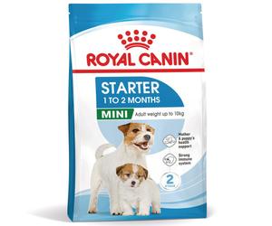 Royal Canin Starter Mother & Babydog Mini - Pienso seco para cachorro recién nacido y perra gestante/lactante de tamaño pequeñ - Cantidad: 1 kg