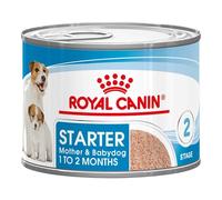 Royal Canin Starter Mousse, Comida para perros, 12x195 gr