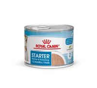 ROYAL CANIN Starter Mousse Madre y cachorro 195 g