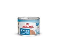Royal Canin Starter Mousse Mother & Babydog | 12 x 195 g | Comida húmeda Ultra Soft Mousse | para Perras en el último tercio de gestación y Durante el periodo de Lactancia