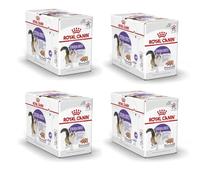 Royal Canin Sterilised Mousse | Pack de 4 | 4 x 12 x 85 g | Alimento completo para gatos adultos | Comida húmeda especialmente desarrollada para gatos esterilizados a partir de los 12 meses