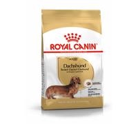 Royal Canin Dachshund Teckel Adult 1.5 Kg