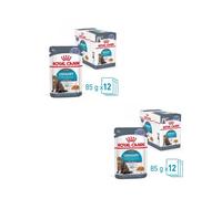 Royal Canin Urinary Care - Alimento en gelatina para gato adulto con sensibilidad urinaria - Cantidad: 85 g