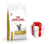 Royal Canin VET Urinary S/O Moderate Calorie - Pienso para gatos con problemas urinarios - Cantidad: 7 kg