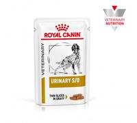 Royal Canin VET Urinary S/O - Alimento en salsa para perro adulto con problemas urinarios - Cantidad: 6 x 100 g