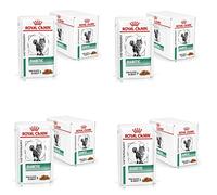 Royal Canin Veterinary Diabetic | Pack de 4 | 4 x 12 x 85 g | Alimento Completo para Gatos | para Regular el aporte de glucosa | con trocitos Finos en Salsa