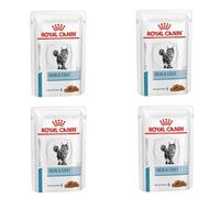 Royal Canin Veterinary Diet Feline Skin & Coat | Paquete de 4 | 4 x 12 x 85 g | Comida húmeda para Gatos Adultos | Trocitos Finos en Salsa | para reforzar la Barrera cutánea