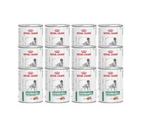 ROYAL CANIN Veterinary Glycobalance Bajo en Carbohidratos Paté | 12 x 195 g | Alimento Dietético Completo para Perros | Bajas Calorías