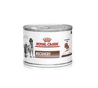 Royal Canin Veterinary Recovery | 12 x 195 g | Alimento dietético Completo para Perros Adultos y Gatos Adultos | Mousse Ultra Suave con Alto Contenido en proteínas