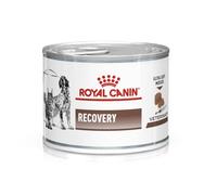 Royal Canin Veterinary Recovery – Mousse dietético alto en proteínas para perros y gatos 12 x 195 g
