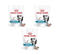 Royal Canin VET Treats Hipoalergénicos - Snacks para perro con alergias alimentarias - Cantidad: 230 g