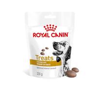 230 g Royal Canin Treats Urinary Snacks para perros