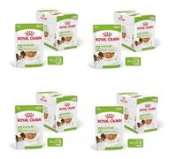 Royal Canin Adult X-Small - Alimento en salsa para perros de tamaño muy pequeño - Cantidad: 85 g