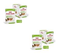 Royal Canin Adult X-Small - Alimento en salsa para perros de tamaño muy pequeño - Cantidad: 85 g