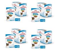 ROYAL CANIN X-Small Puppy | 12 x 85 g | Comida húmeda para Cachorros Especialmente pequeños | hasta los 10 Meses de Edad | con bocaditos en Salsa | En Bolsa de cartón
