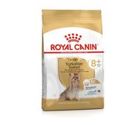 ROYAL CANIN Yorkshire Terrier Adult 8+ 3kg-alimento seco para perros Yorkshire Terrier maduros, de más de 8 años de edad
