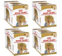Royal Canin Yorkshire Terrier Adult | Paquete de 4 | 4 x 12 x 85 g | Comida húmeda para Perros Adultos | A Partir de 10 Meses de Edad | para Mantener la Calidad del Pelo y Las heces