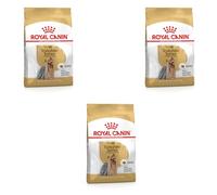 Royal Canin Yorkshire Terrier Adult 500 g Adulto