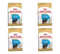 Royal Canin Yorkshire Terrier Cachorro | Paquete de 4 | 4 x 500 g | Alimento seco para Cachorros Yorkshire Terrier | para reforzar el Sistema inmunitario | para un Pelo Bonito y una Buena dentadura