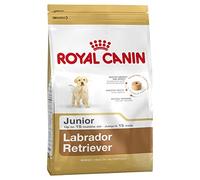 ROYAL CANIN Labrador Retriever Cachorro 12kg + sorpresa gratis