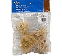 Royal Cepillo Natural del océano Artista esponjas 4/Unidades de Lana y 1 Jumbo, Otros, Multicolor