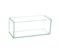 Royal Imports Jarrón de Cristal con Centro Decorativo para Boda o hogar, 10 Pulgadas
