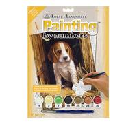 Royal & Langnickel Paint by Number - Juego de pintura (27,9 x 38,1 cm), diseño de cachorro de beagle