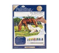 Royal & Langnickel PCL2 Painting by Numbers Large Canvas Painting Set Horses in Field
