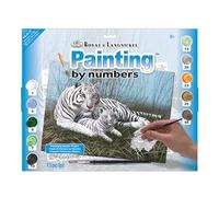 Royal & Langnickel PJL22 - Set de pintura con números, diseño de tigres blancos in la niebla
