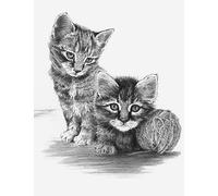 Royal & Langnickel SKETCH MADE EASY - GATITOS CON OVILLOS DE HILO
