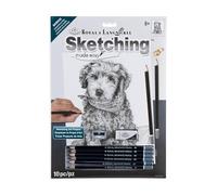 Royal & Langnickel SKETCH MADE EASY - LABRADOODLE SOBRE ALMOHADA